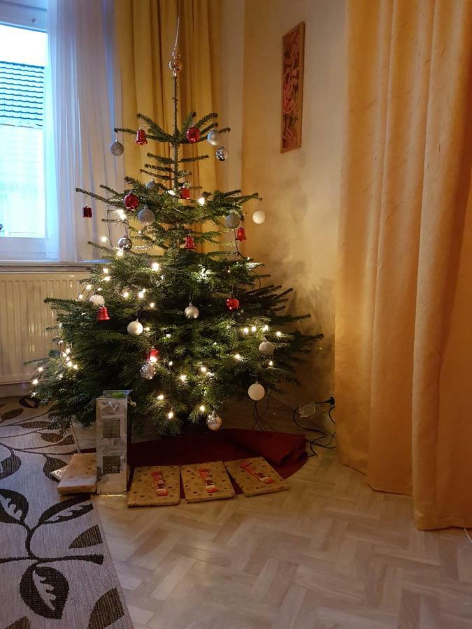 Brockenferien Apartment Bad Harzburg Ngoại thất bức ảnh